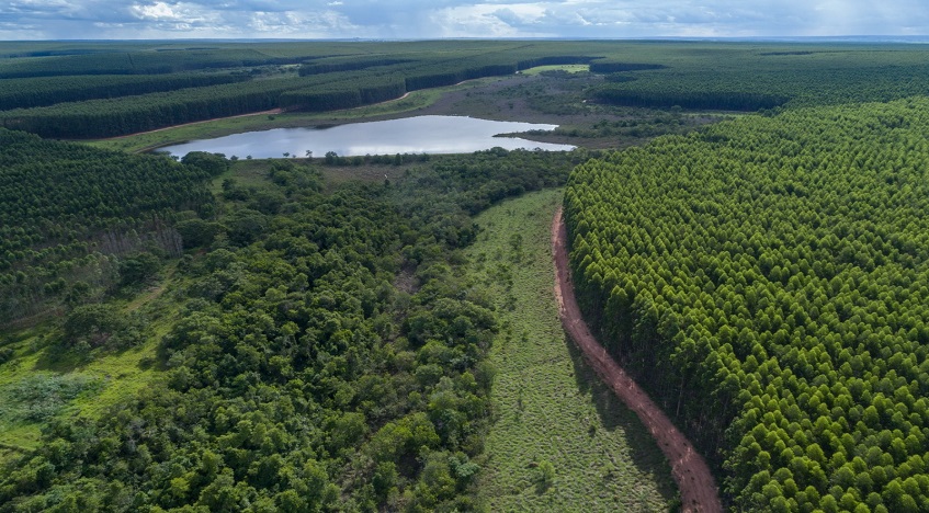 WEG impulsiona o Projeto Sucuriú, primeira fábrica de celulose branqueada da Arauco no Brasil