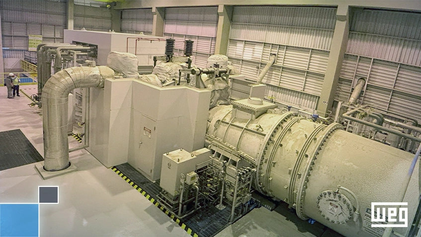 WEG Performs Strategic Maintenance on Veracel’s Turbogenerator During the 2026 General Shutdown