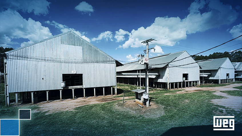 Ueyama Farm reduces electricity consumption and ensures greater comfort for animals with WEG’s W30 Smart EC motors