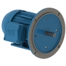 W22 NEMA Premium Efficiency 1.5 HP 4P 143/5TD 3Ph 230/460//380 V 60//50 Hz IC411 - TEFC - Foot-mounted