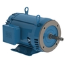 Close Coupled Pump NEMA Premium Efficiency 10 HP 2P 213/5JM 3Ph 575 V 60 Hz IC01 - ODP - Foot-mounted