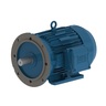 W22 Tru-Metric IE2 0.25 HP 4P 63 3F 460//220-240/380-415 V 60 Hz IC411 - TEFC - B35L(E)