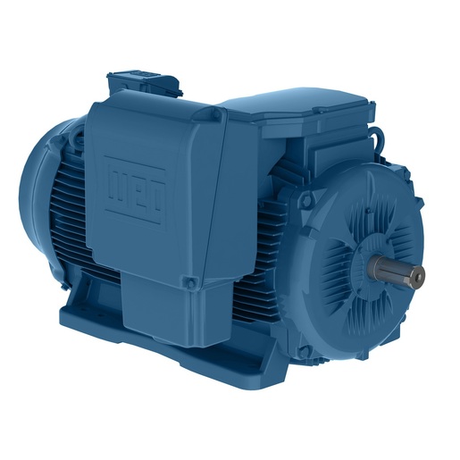 W22 Medium Voltage 125 HP 6P 315L 3Ph 3300 V 60 Hz IC411 - TEFC - B3L(D)