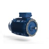 W22 PRIME IE4 132 kW W315S/M 3Ph 380-400-415/660-690//460 V NENHUM IC411 - TEFC - B5T