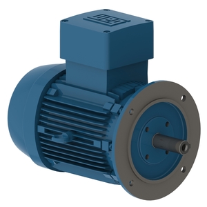 W21 Prueba de Explosión IE1 11 kW 2P 160M 3F 380-415/660//440-460 V 50 Hz IC411 - TEFC - B5T