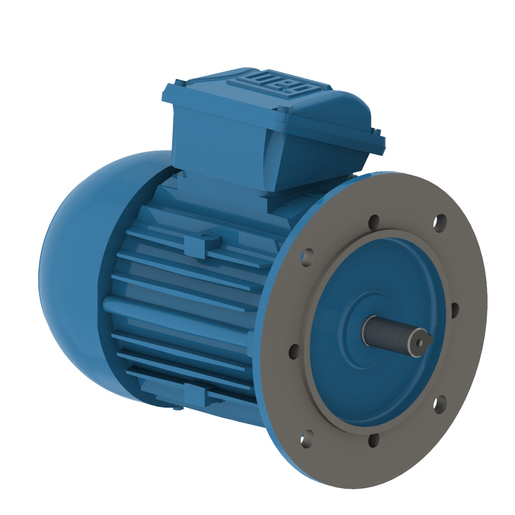 W22Xec IE3 0.75 kW 4P 80 3Ph 220-230-240/380-400-415//460 V 50 Hz IC411 - TEFC - B5T