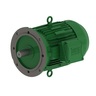 W22 IE2 1.1 kW 6P 90L 3Ph 220-230-240/380-400-415 V 50 Hz IC411 - TEFC - B5R(E)