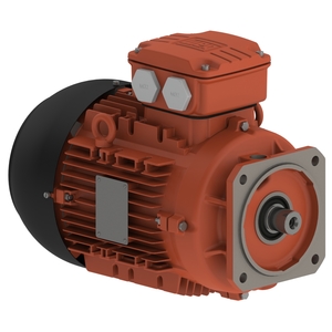 Motor Modular Gear Box IE2 0.75 kW 6P 90S/L 3F 115/200/230/400//132/230 V 50 Hz IC411 - TEFC - B5T