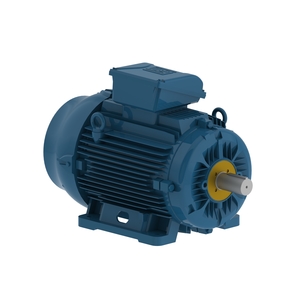 W22Xtb IE2 15 kW 6P 180L 3F 380-400-415/660-690//460 V 50 Hz IC411 - TEFC - B3T