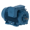 W22 High Efficiency 200 HP 4P 504/5T 3F 380/660 V 50 Hz IC411 - TEFC - Con pies