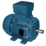 W21 Explosão IE1 0.75 kW 6P 90L 3F 220-240/380-415//440-460 V 50 Hz IC411 - TEFC - B3T