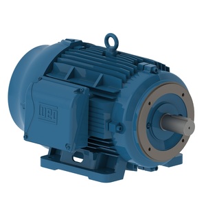 W22 NEMA Premium Efficiency 15 HP 2P 254/6TC 3Ph 230/460//380 V 60//50 Hz IC411 - TEFC - Foot-mounted