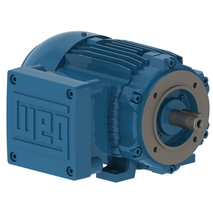 W21 Explosão Standard 10 cv 4P 132S 3F 220/380 V 60 Hz IC411 - TFVE - B34D