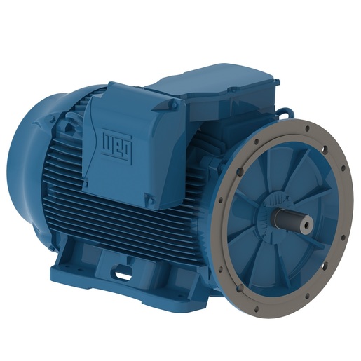 W22 Standard Efficiency 175 HP 10P 586/7TD 3F 208-230/460 V 60 Hz IC411 - TEFC - Con pies