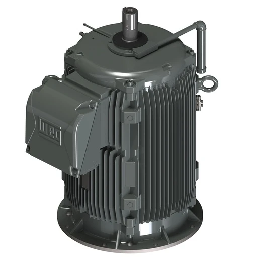 WEG 14425093 W22 Cooling Tower NEMA Premium Efficiency Motor