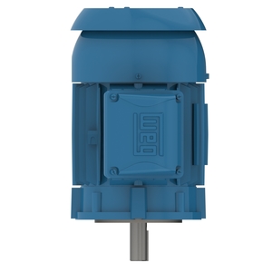 W22 NEMA Premium Efficiency 2 HP 4P 145TC 3F 230/460//380 V 60//50 Hz IC411 - TEFC - Sem pés