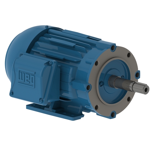 W22 Close Coupled Pump JM NEMA Premium Efficiency 1.5 HP 4P 143/5JM 3Ph 230/460//380 V 60//50 Hz IC411 - TEFC - Foot-mounted