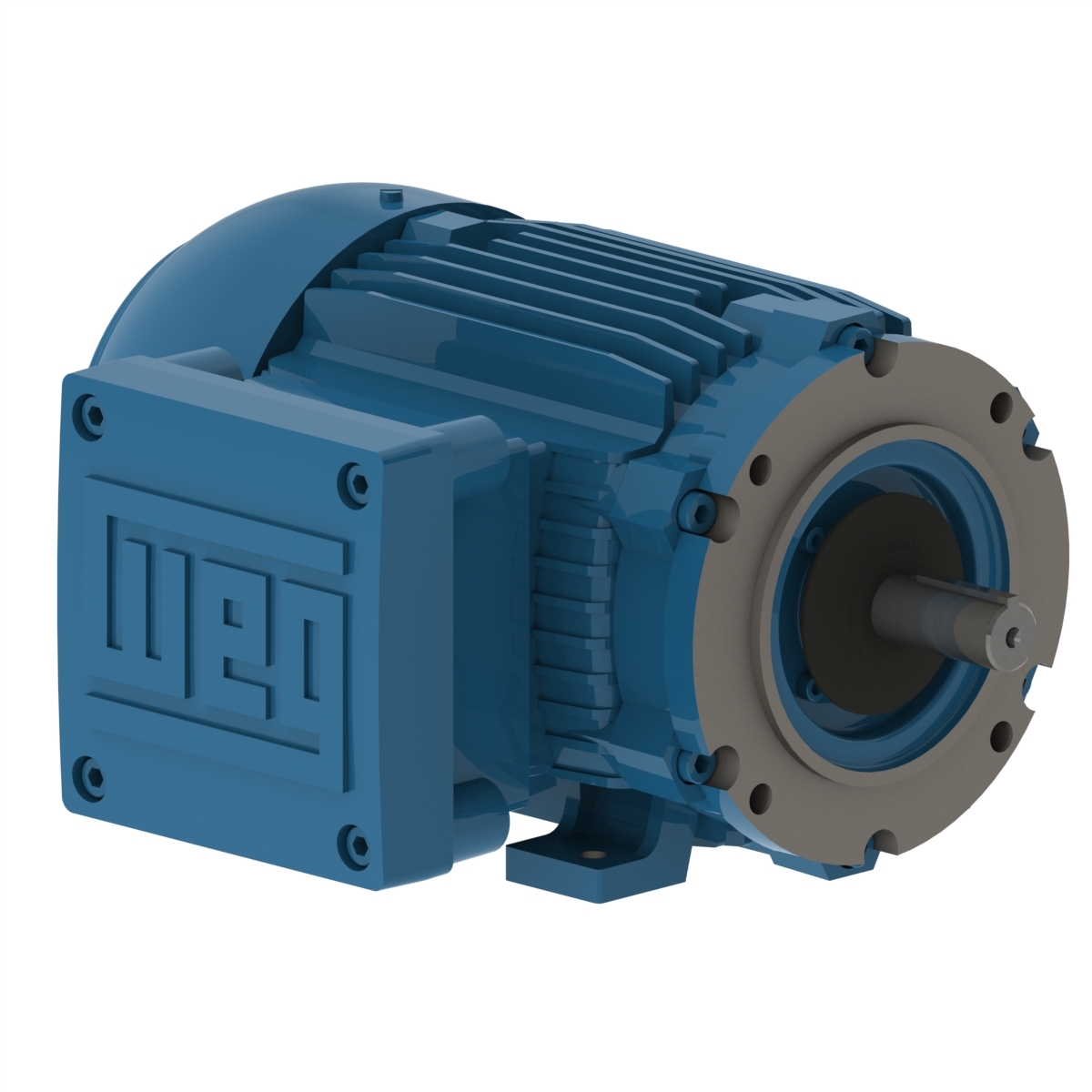 W21 Explosion-proof Motor NEMA Premium Efficiency 1 HP 4P 143/5TC 
