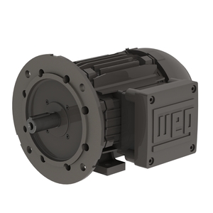 W21 Explosion Proof Standard Efficiency 0.75 kW 2P 90S 3Ph 220-240/380-415//440-460 V 50 Hz IC411 - TEFC - B35R(E)