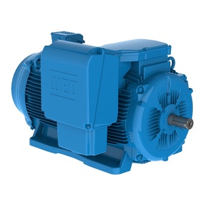 W22 Medium Voltage 150 HP 4P L447/9TC 3Ph 3000 V 50 Hz IC411 - TEFC - Footless