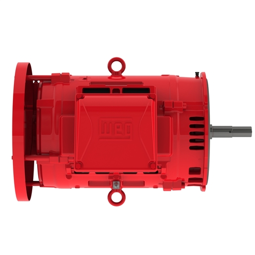 W40 JM Pump High Efficiency 30 HP 4P 284/6JM 3Ph 230/460//380 V 60//50 Hz IC01 - ODP - Footless