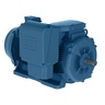 W22 Medium Voltage 125 HP 6P 315L 3Ph 3300 V 60 Hz IC411 - TEFC - B3L(D)