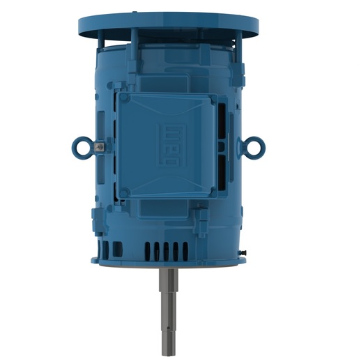 W40 JP Pump NEMA Premium Efficiency 30 HP 2P 284/6JP 3Ph 230/460//380 V