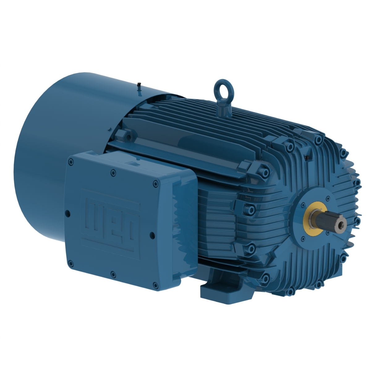 Flameproof Motor With Brake IE2 WEG Products