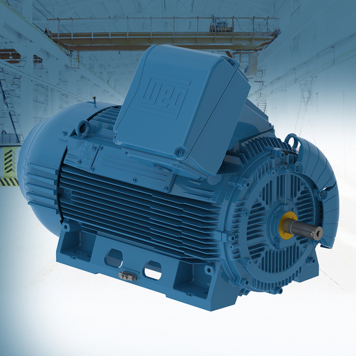 Plan de pintura del motor 214 P