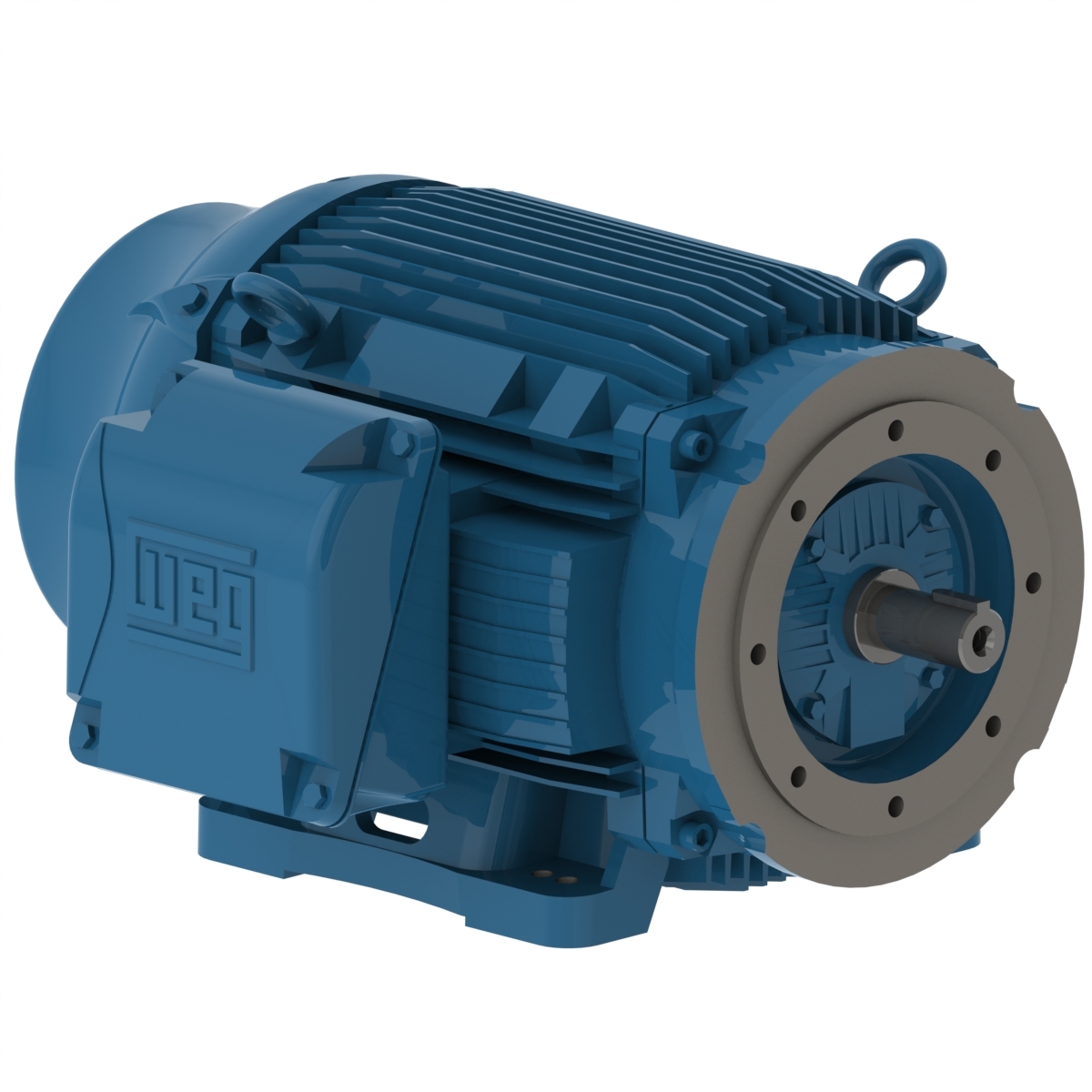 W22 NEMA Premium Efficiency 125 HP 4P 444/5TC 3Ph 230/460//380 V