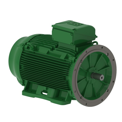 W22 IE4 315 kW 4P 355M/L 3Ph 400/690//460 V 50 Hz IC411 - TEFC - B35T