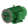 W22 IE3 Premium Efficiency 15 kW 4P 160L 3F 380-400-415/660-690//460 V 50 Hz IC411 - TEFC - B35R(E)