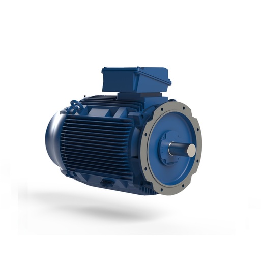 W22 PRIME IE4 132 kW W315S/M 3Ph 380-400-415/660-690//460 V NENHUM IC411 - TEFC - B5T