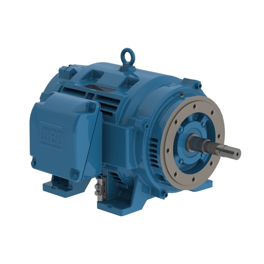 W40 JP Pump NEMA Premium Efficiency 100 HP 4P 404/5JP 3Ph 460//380 V 60//50 Hz IC01 - ODP - Foot-mounted