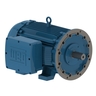 W21 Explosion Proof Standard 250 cv 2P 315S/M 3Ph 220/380/440 V 60 Hz IC411 - TFVE - B35D