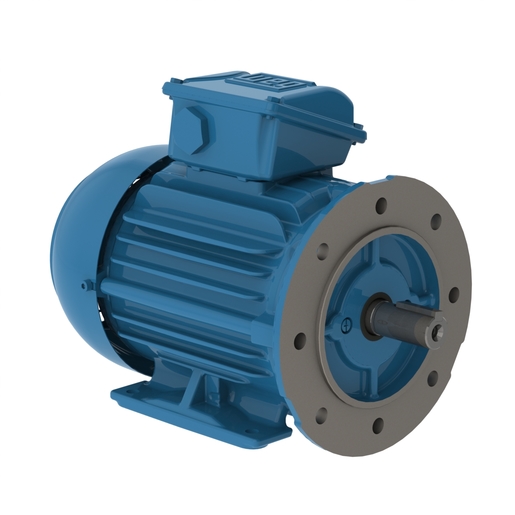 Weg w22 электродвигатели. W 22. W 22. Weg w22 электродвигатели. W 22.