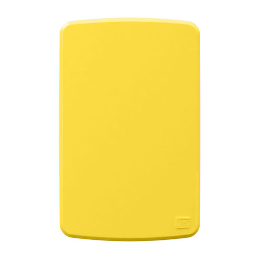 PLATE 4X2" BLANK COMP YE