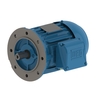 W22 IE1 Standard Efficiency 0.18 kW 2P 63 3F 220-230-240/380-400-415//460 V 50 Hz IC411 - TEFC - B5R(E)