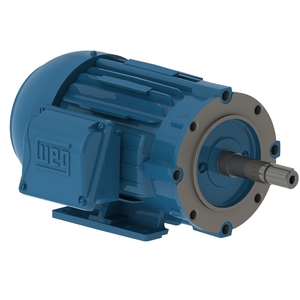 W22 Close Coupled Pump JM NEMA Premium Efficiency 1 HP 4P 143/5JM 3Ph 575 V 60 Hz IC411 - TEFC - Foot-mounted