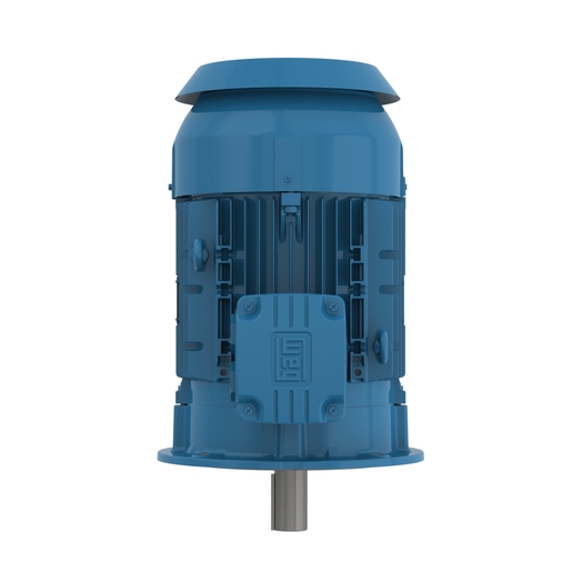 Electric Motor V1 Mounting