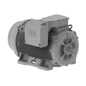 W22 Ventilação 400°C 2h IE3 55 kW 6P 280S/M 3F 380-400-415/660-690//460 V 50 Hz IC411 - TEFC - B3L(D)