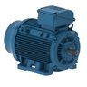 W22 NEMA Premium Efficiency 200 HP 2P 445/7TS 3Ph 230/460//380 V 60//50 Hz IC411 - TEFC - Foot-mounted