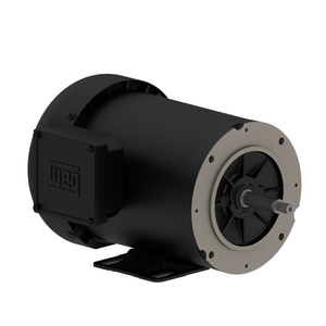 Centrifugal Pump 1.5 HP 2P B56J 3Ph 575 V 60 Hz IC411 - TEFC - Foot-mounted
