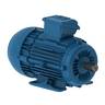 W22 IE2 5.5 kW 4P L112M 3Ph 220-230-240/380-400-415//460 V 50 Hz IC411 - TEFC - B3T