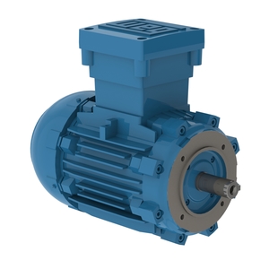 W21 Explosion-proof Motor High Efficiency 2 HP 4P 145TC 3Ph 230/460//380 V 60//50 Hz IC411 - TEFC - Footless