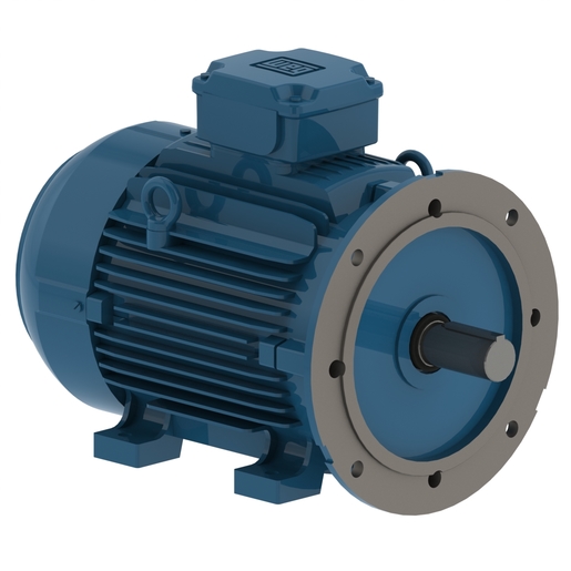 W21 IE3 55 kW 2P 250S/M 3Ph 380-400-415/660-690//460 V 50 Hz IC411 - TEFC - B35T