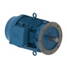 W22 High Efficiency 20 HP 4P 256TD 3Ph 230/460//380 V 60//50 Hz IC411 - TEFC - Footless