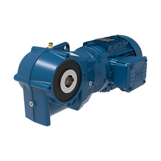 WG20 - Motorreductores de Tornillo sinfin con Engranaje Helicoidal