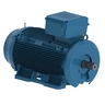 W22 IE2 4 kW 6P 132M 3Ph 220-230-240/380-400-415//460 V 50 Hz IC411 - TEFC - B3T