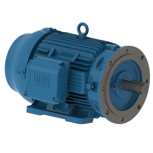 W22 30 HP 2P 284/6TSD 3Ph 230/460 V 60 Hz IC411 - TEFC - Foot-mounted